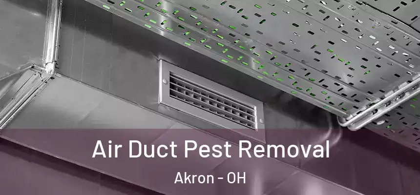Air Duct Pest Removal Akron - OH