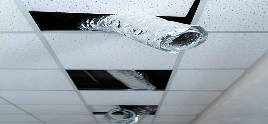 Our Air Duct Pet Hair Removal Services in Akron, OH