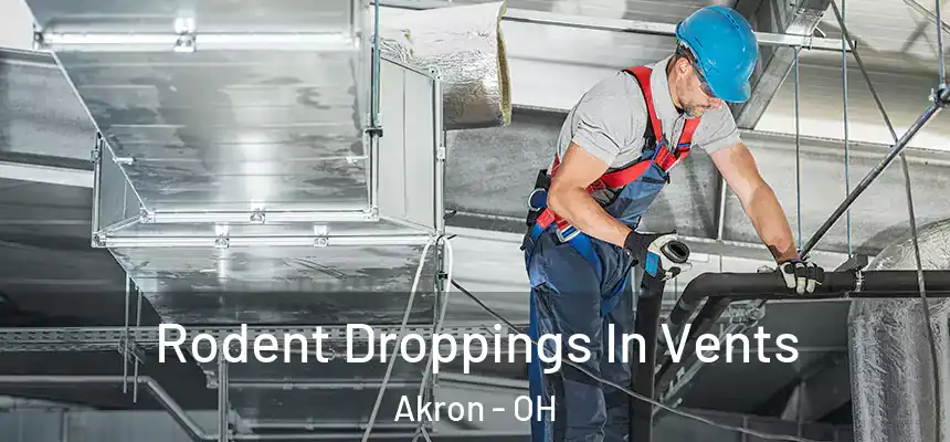 Rodent Droppings In Vents Akron - OH