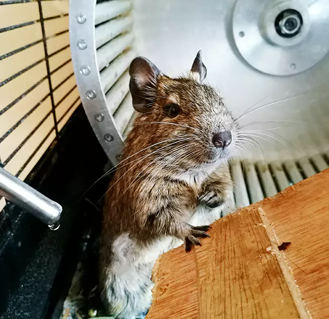 Why Homeowners & Businesses Trust Us Akron, OH?